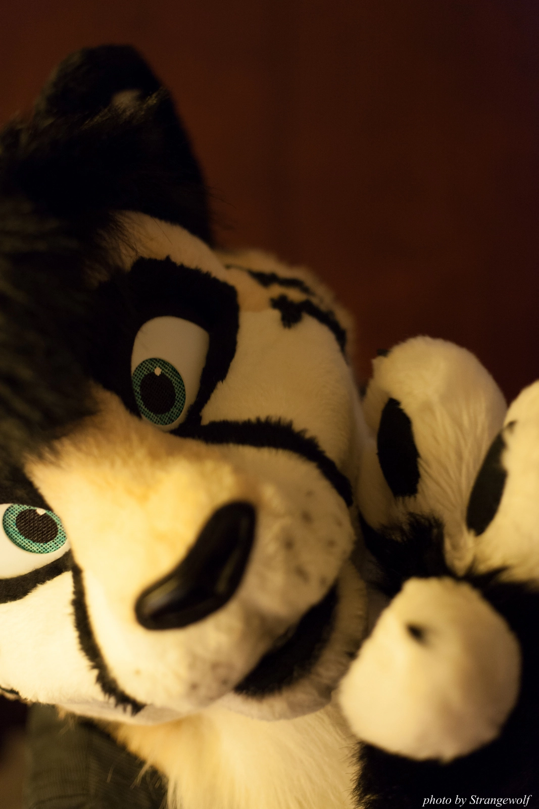 full image IMG_1228-lr16t.jpg