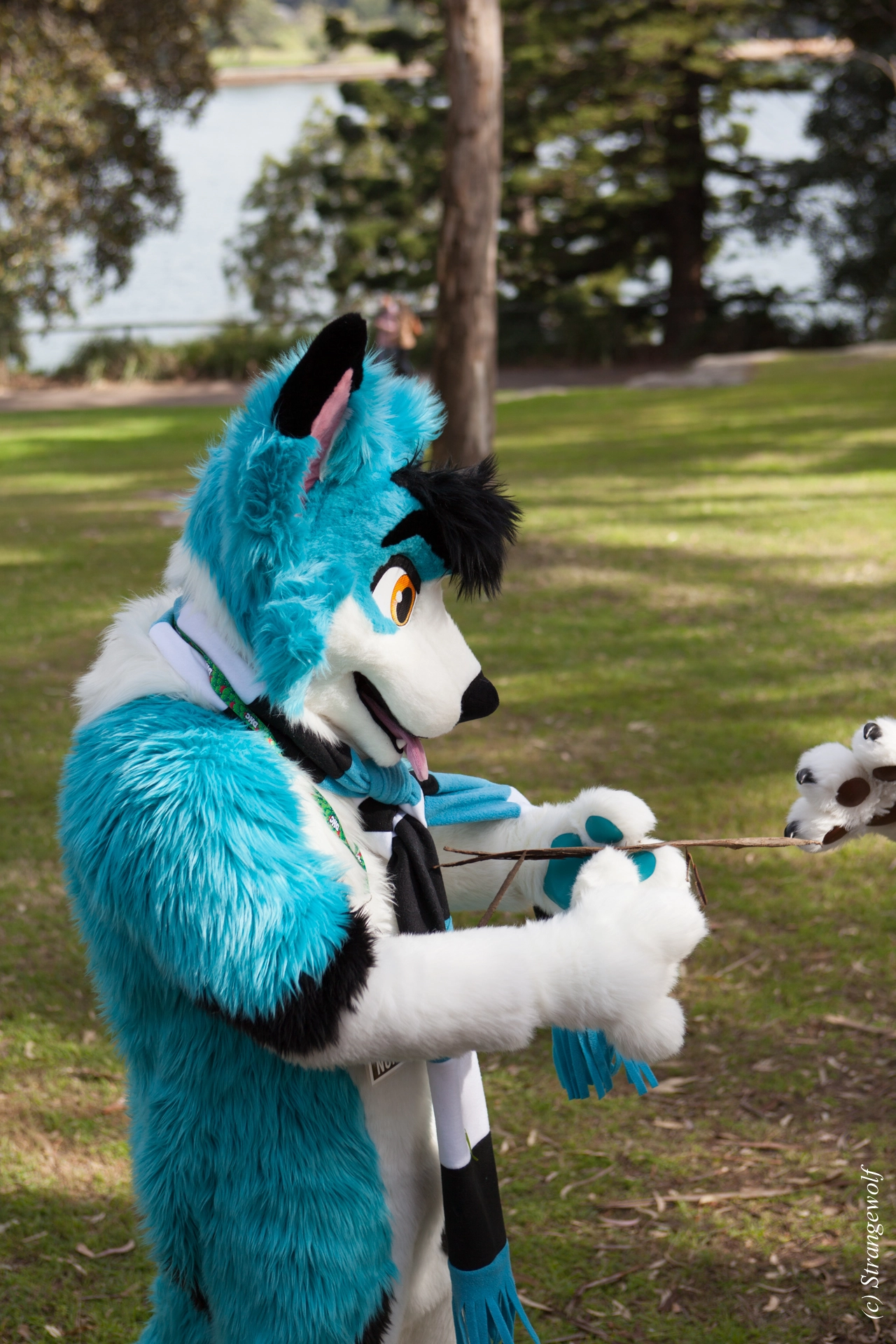 full image IMG_4228-lr19t.jpg