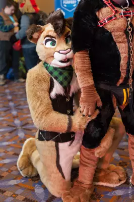 IMG_7607-lr19t.jpg of MFF/MFF2018/