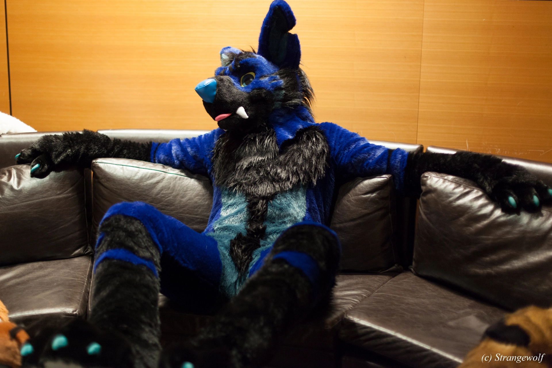 full image IMG_1624-lr19t.jpg