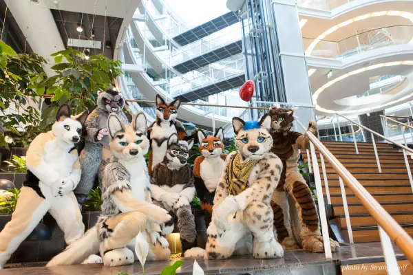 IMG_0419-lr19t.jpg of NFC/NFC2018/OFA-Shoot/