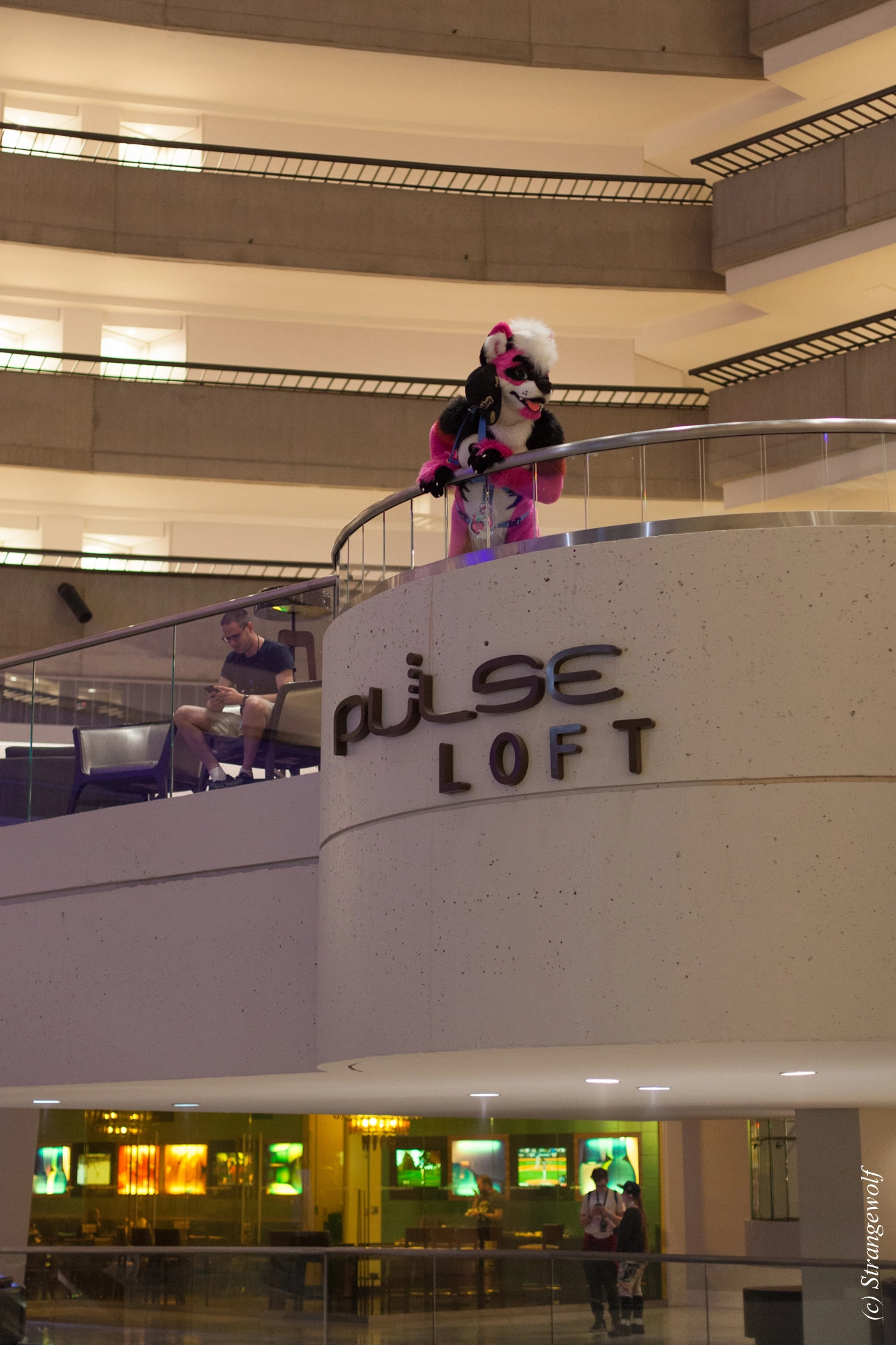 full image IMG_1374-lr19t.jpg