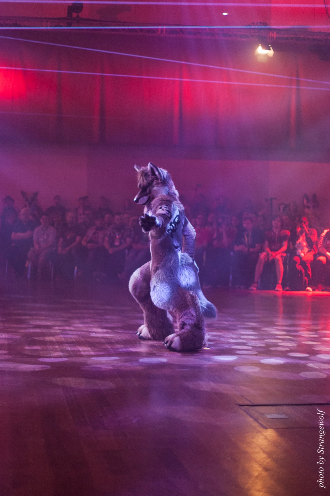 full image IMG_2728-lr16t.jpg