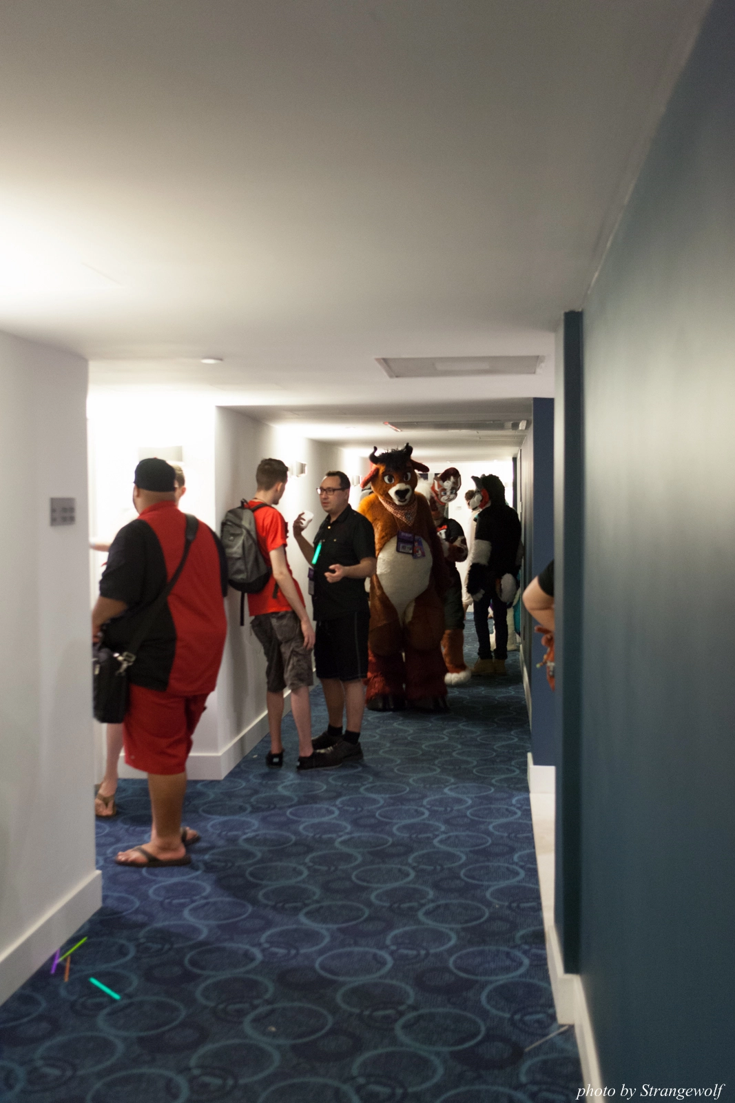 full image IMG_8756-lr16t.jpg