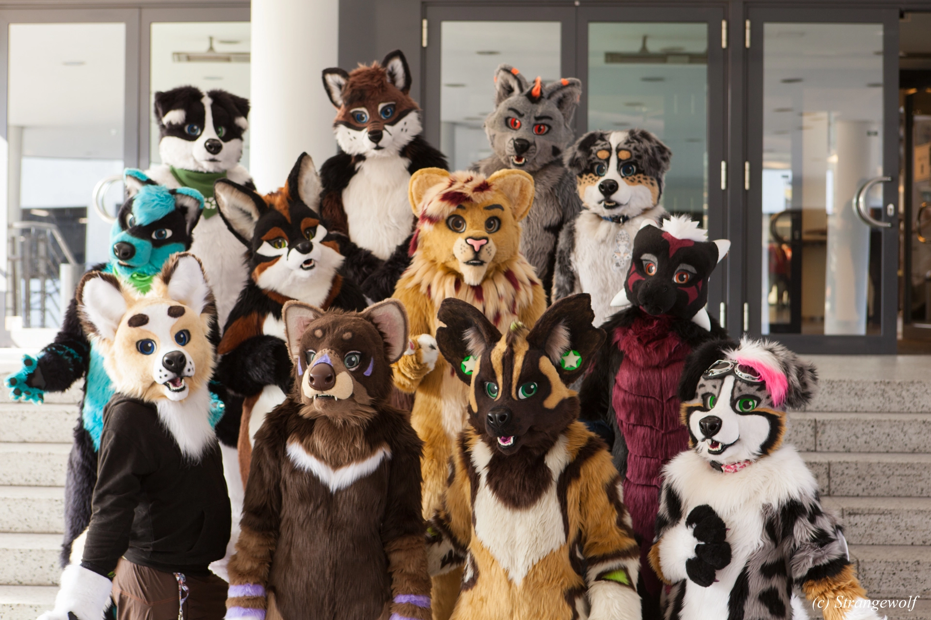 full image IMG_4908-lr19t.jpg