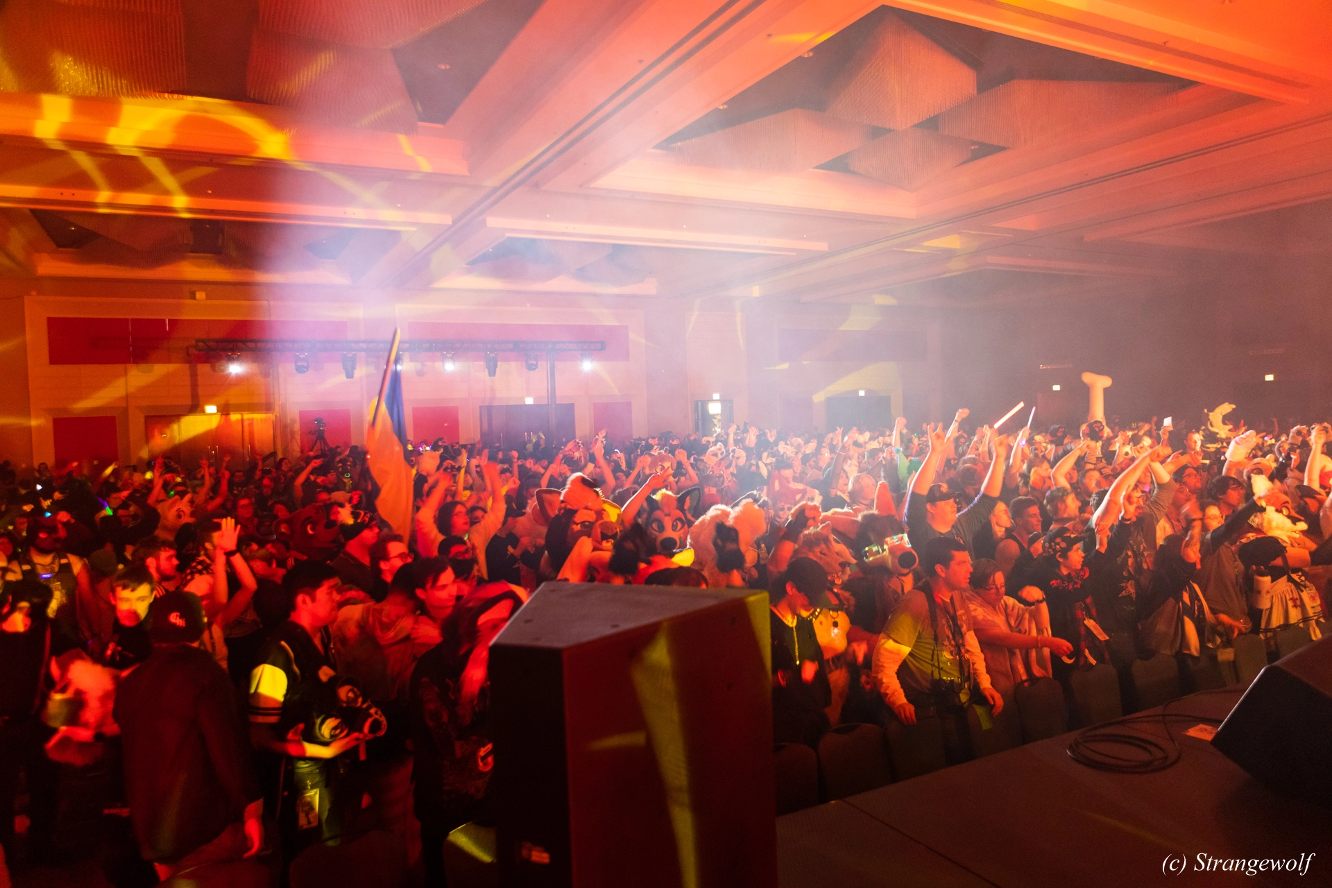 full image 1R3A5198-lr19t.jpg