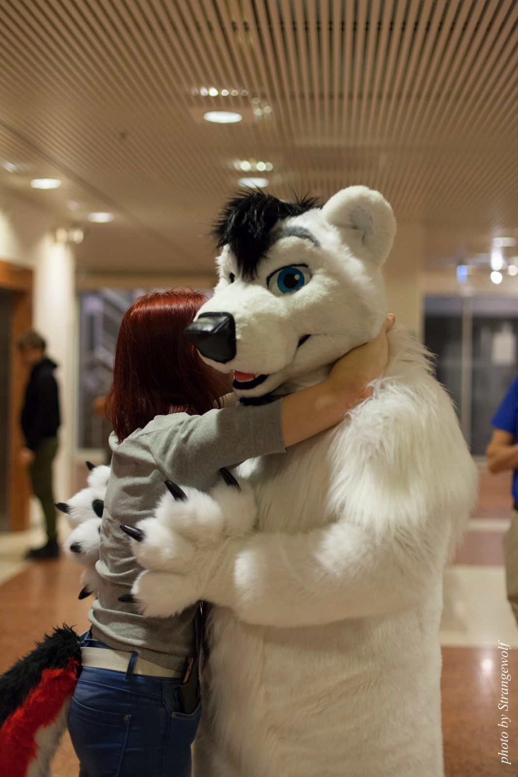 full image IMG_1500-lr16t.jpg