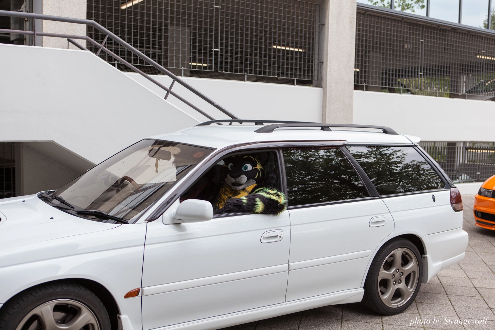 full image IMG_0156-lr16t.jpg