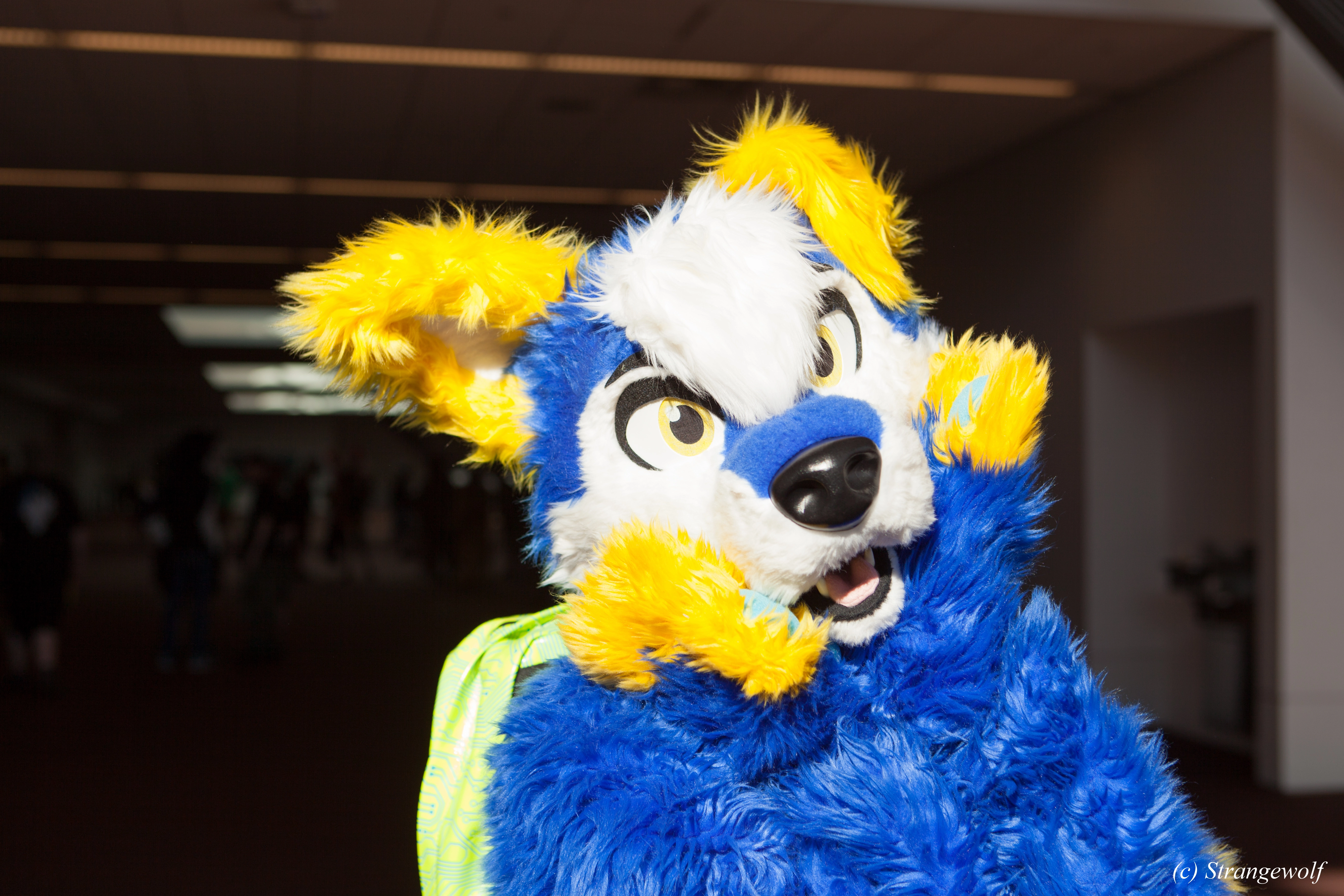 full image IMG_4358-lr.jpg