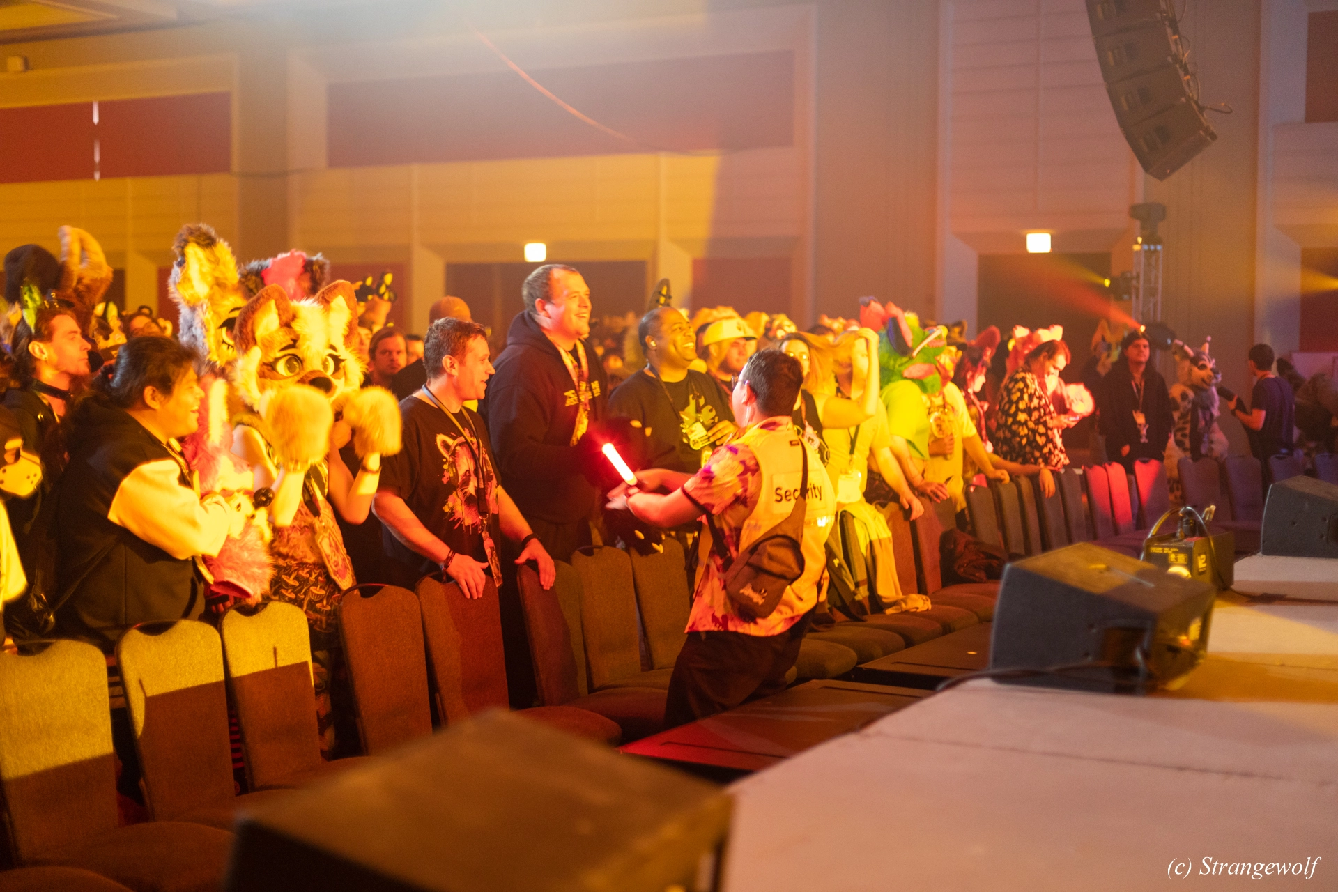 full image 1R3A0606-lr19t.jpg