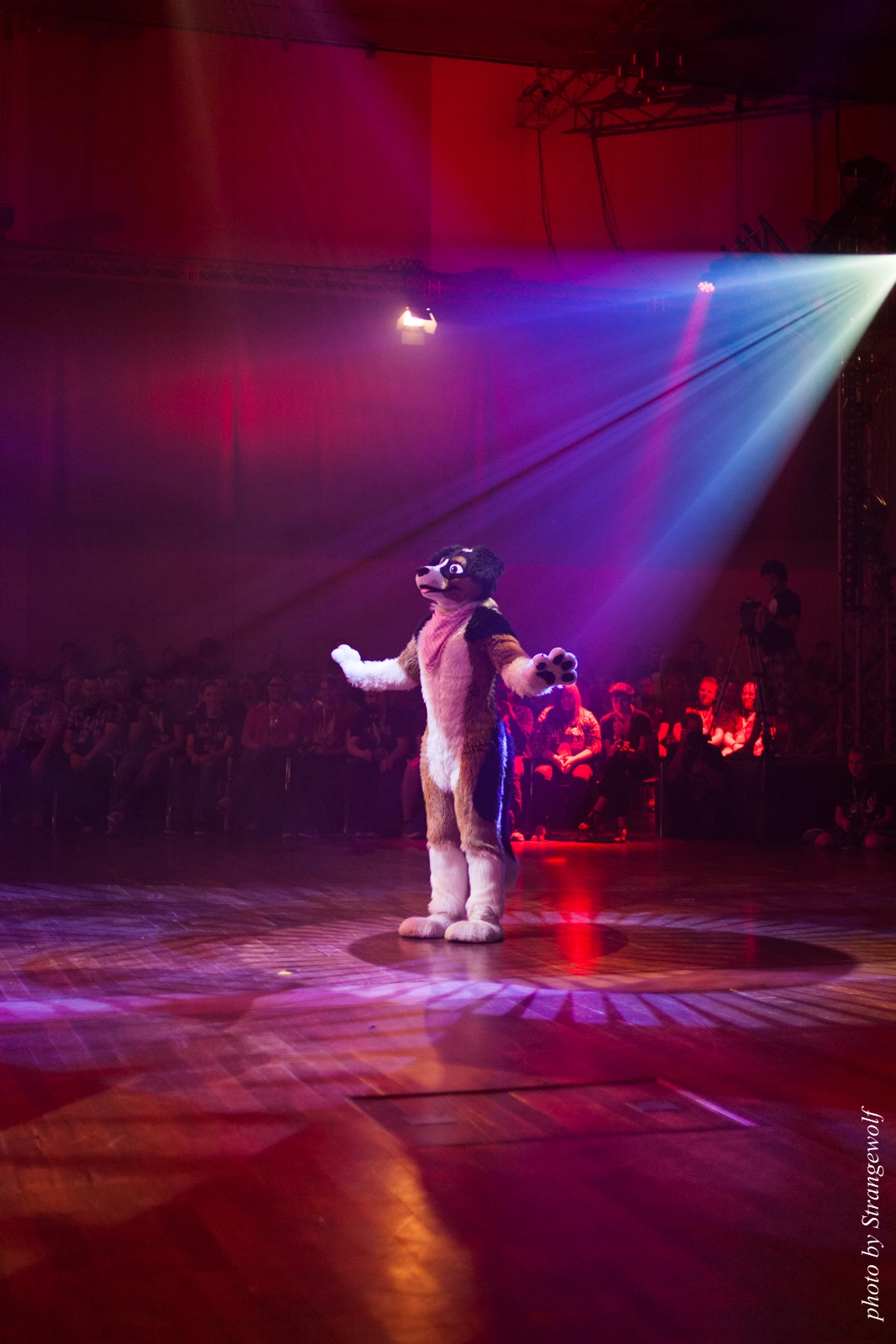 full image IMG_2519-lr16t.jpg