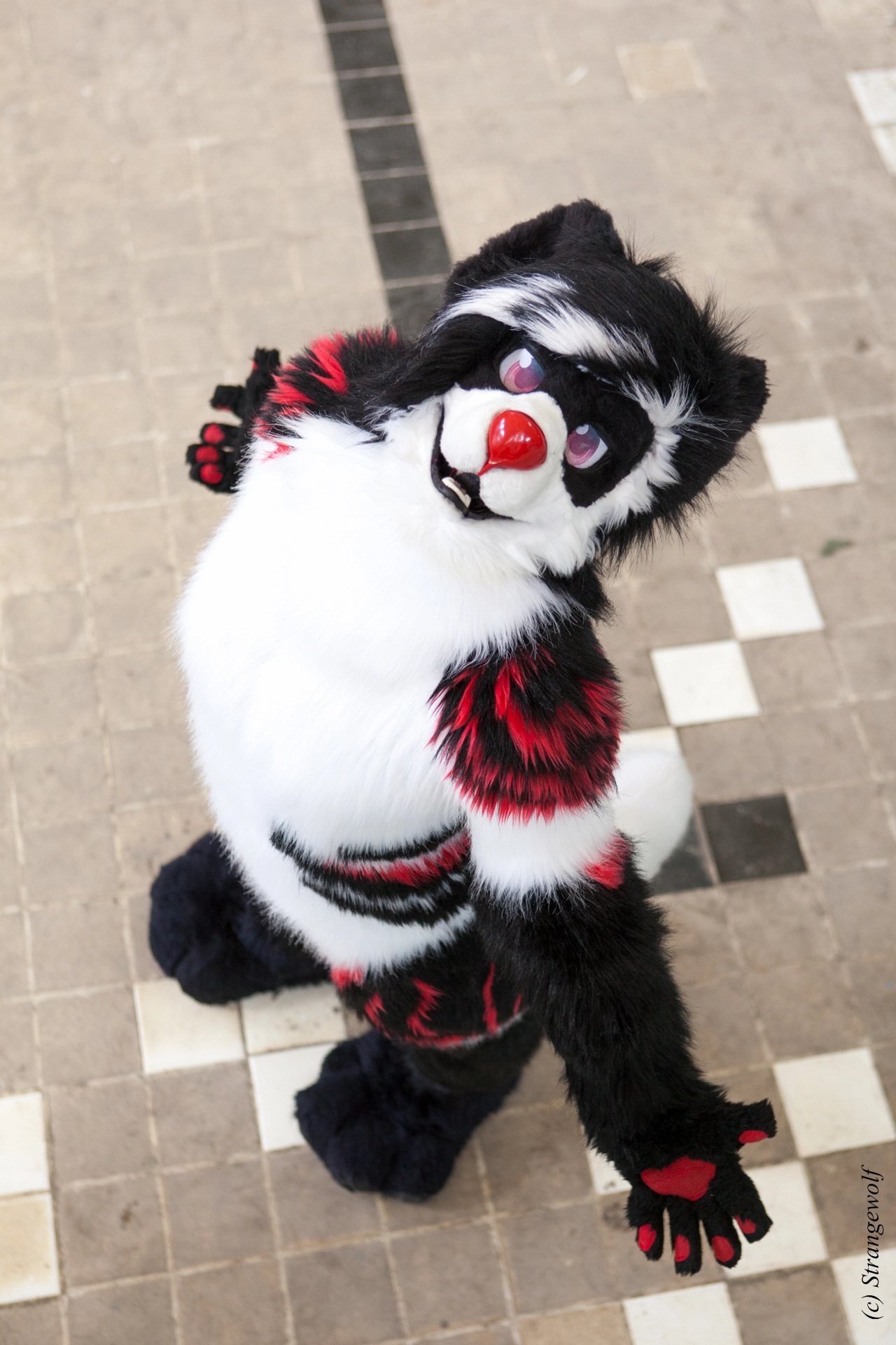 full image IMG_6105-lr19t.jpg