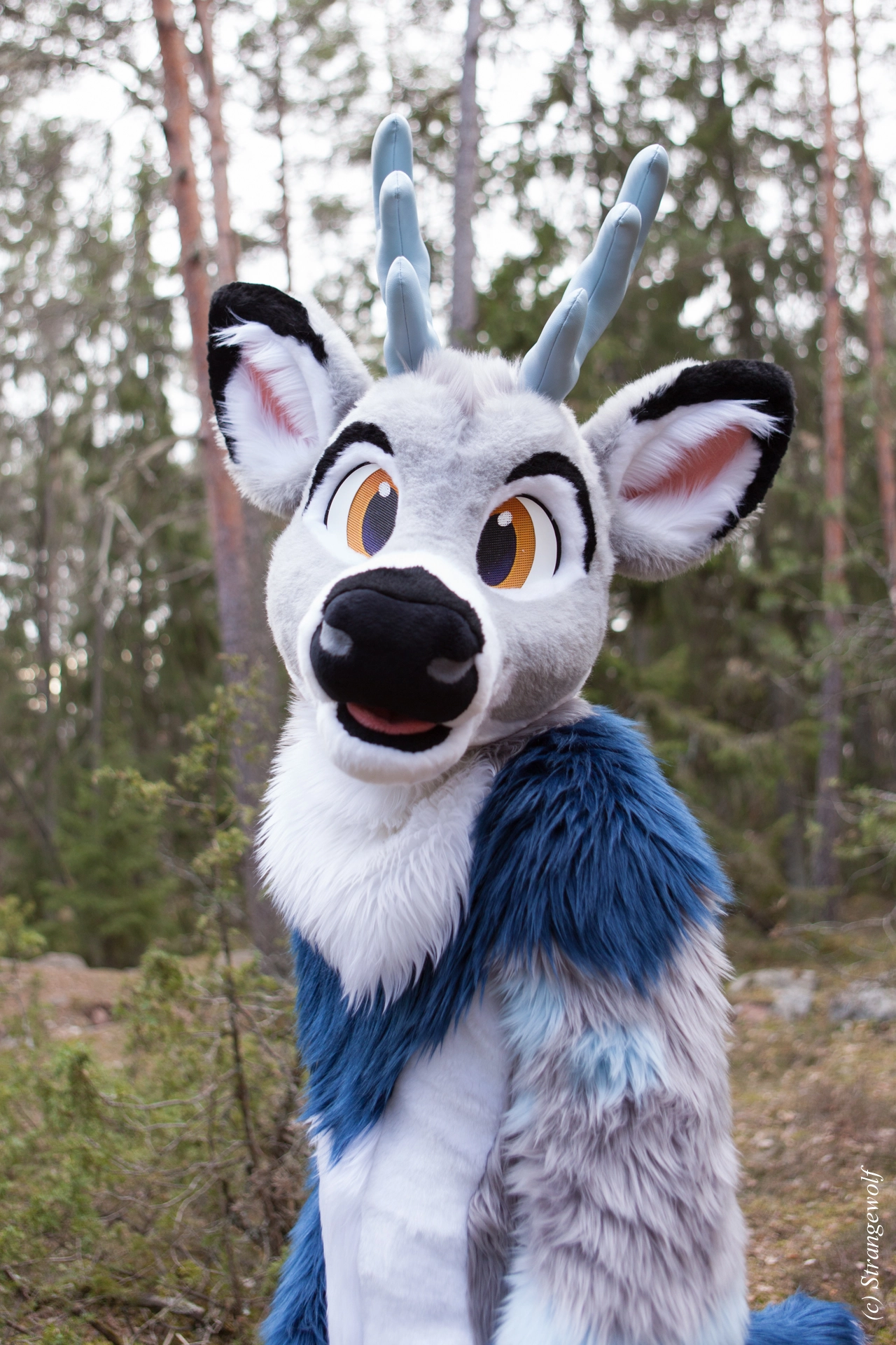 full image IMG_8684-lr19t.jpg