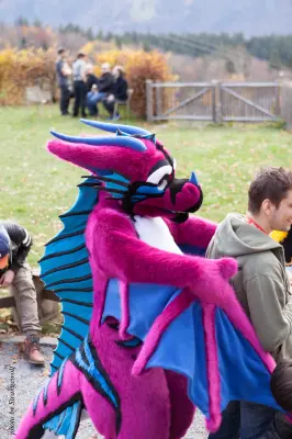 IMG_7901-lr19t.jpg of GLC/GLC2017/