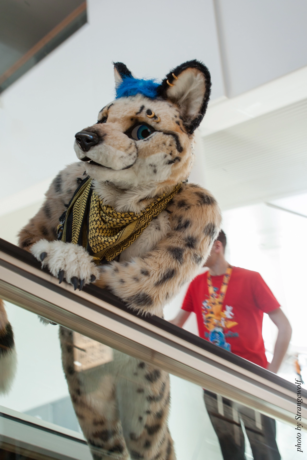 full image IMG_0405-lr19t.jpg