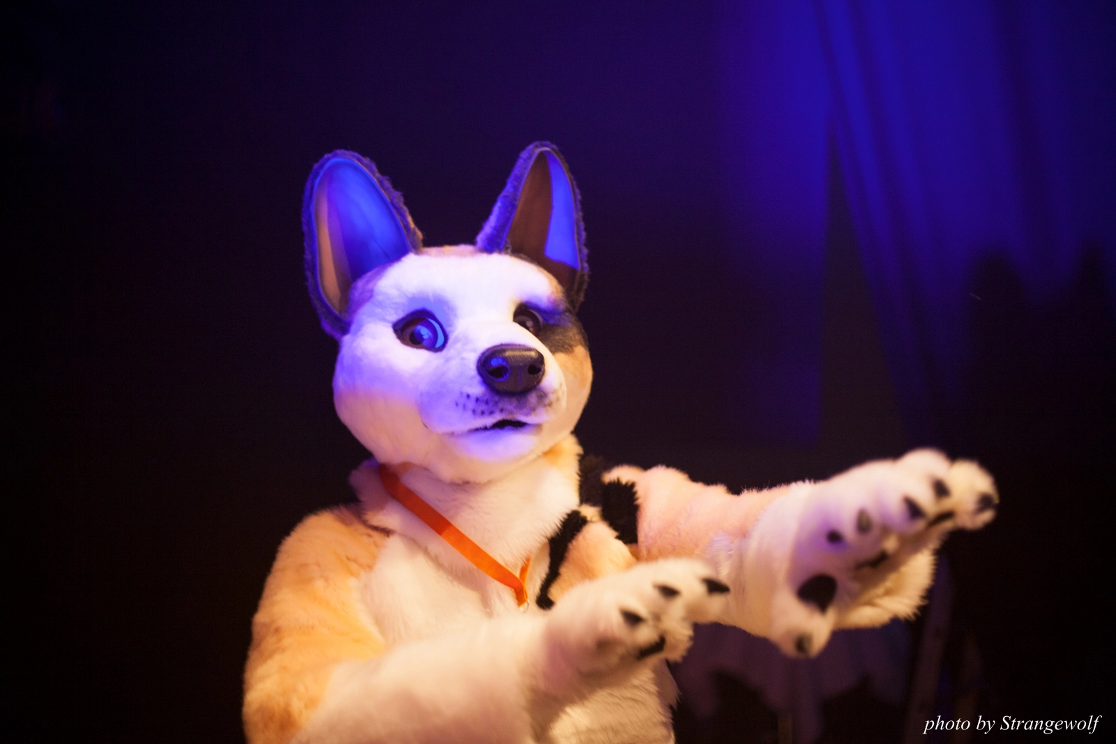 full image IMG_6740-lr16t.jpg