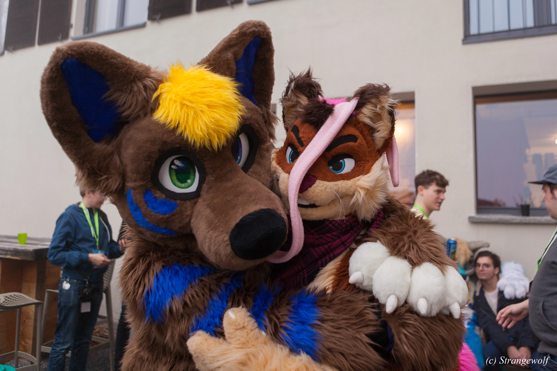 full image IMG_7007-lr19t.jpg