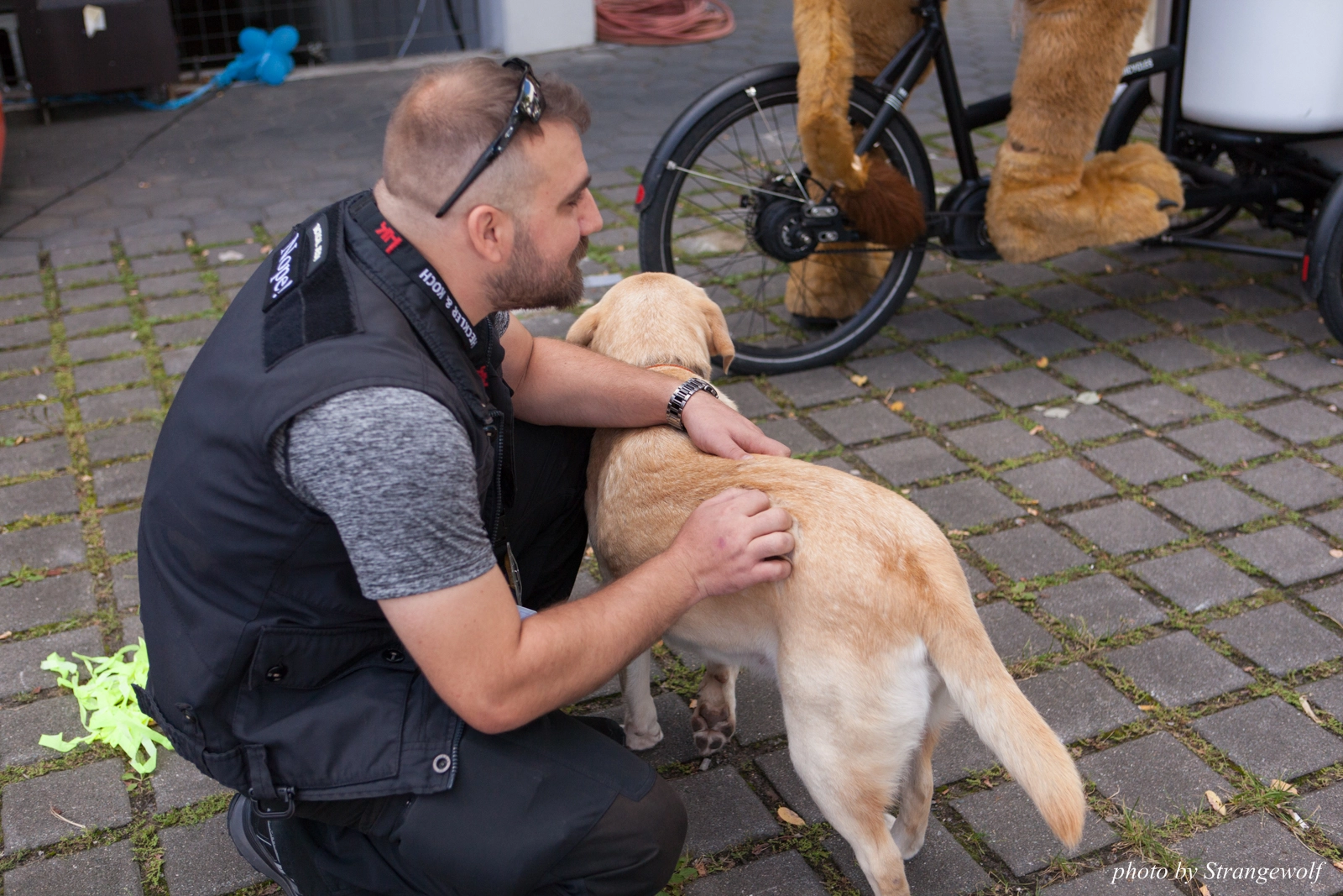 full image IMG_6973-lr16t.jpg