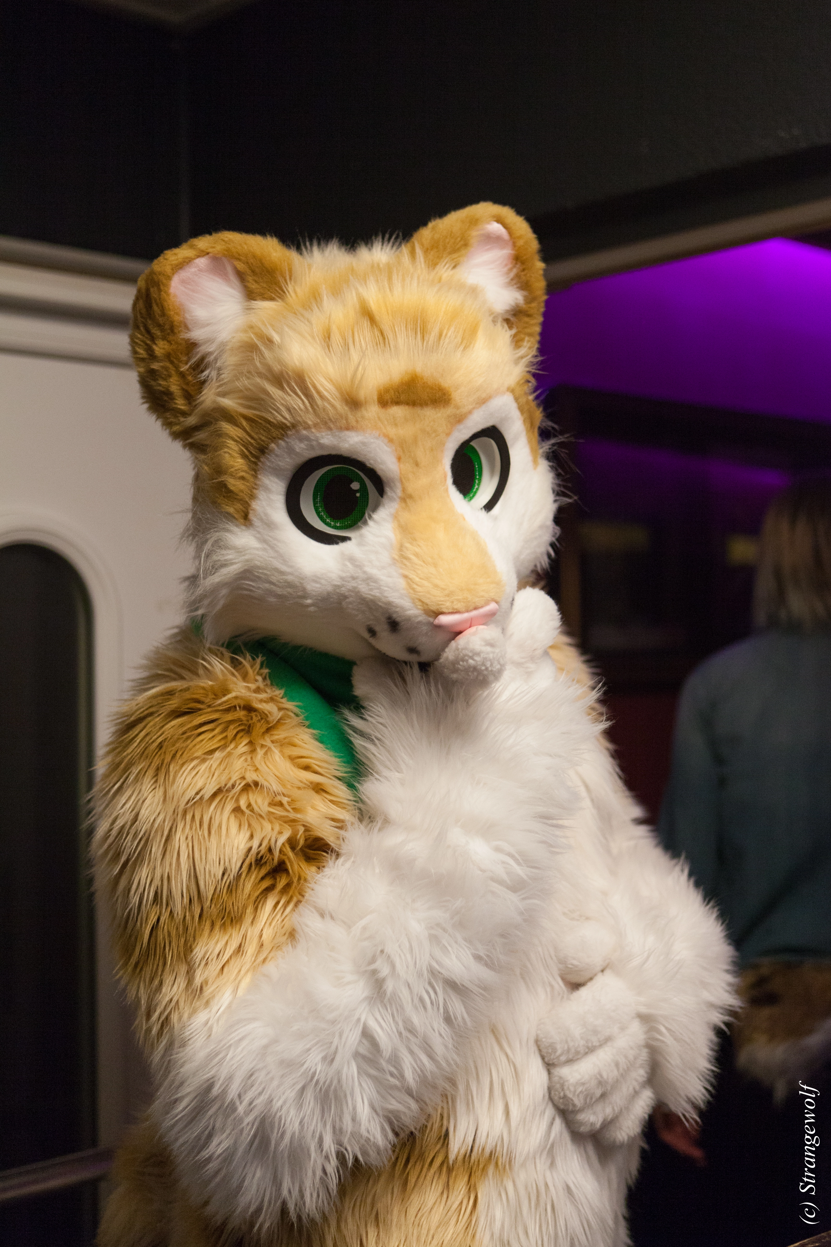 full image IMG_0954-lr.jpg