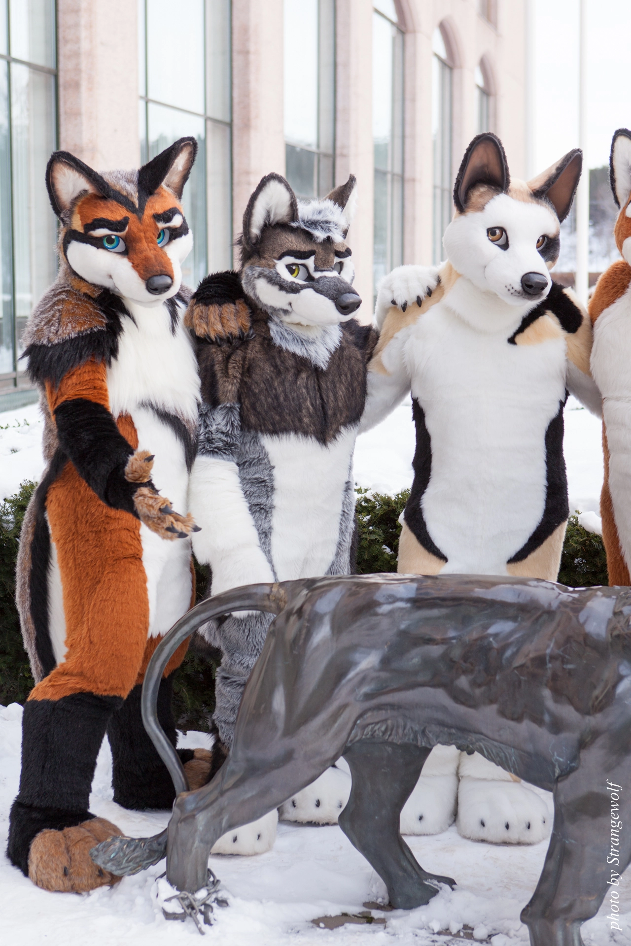 full image IMG_0301-lr19t.jpg