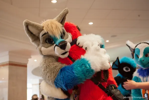 IMG_7398-lr16t.jpg of CFZ/CFZ2016/