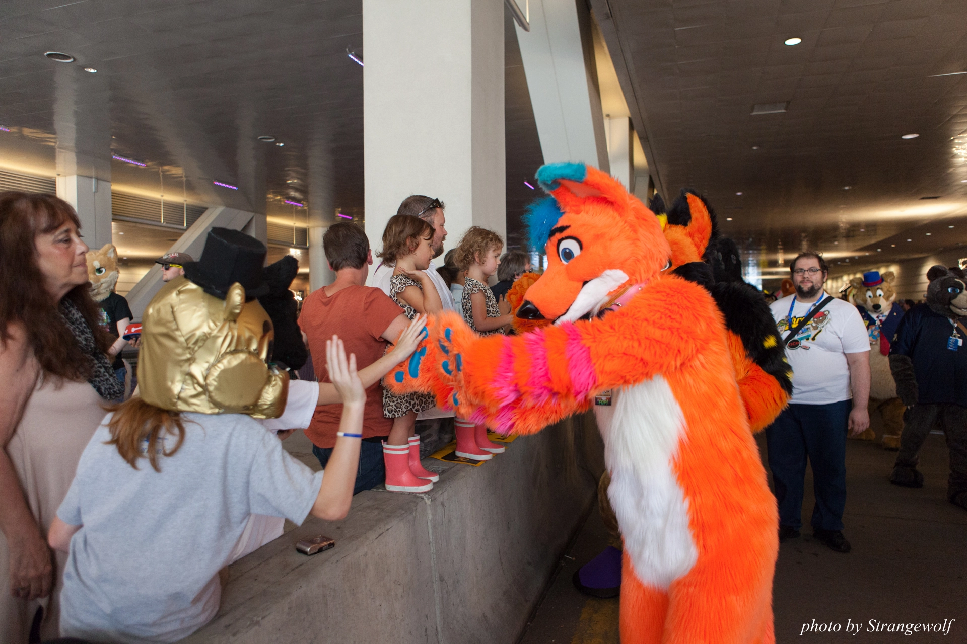 full image IMG_4524-lr19t.jpg
