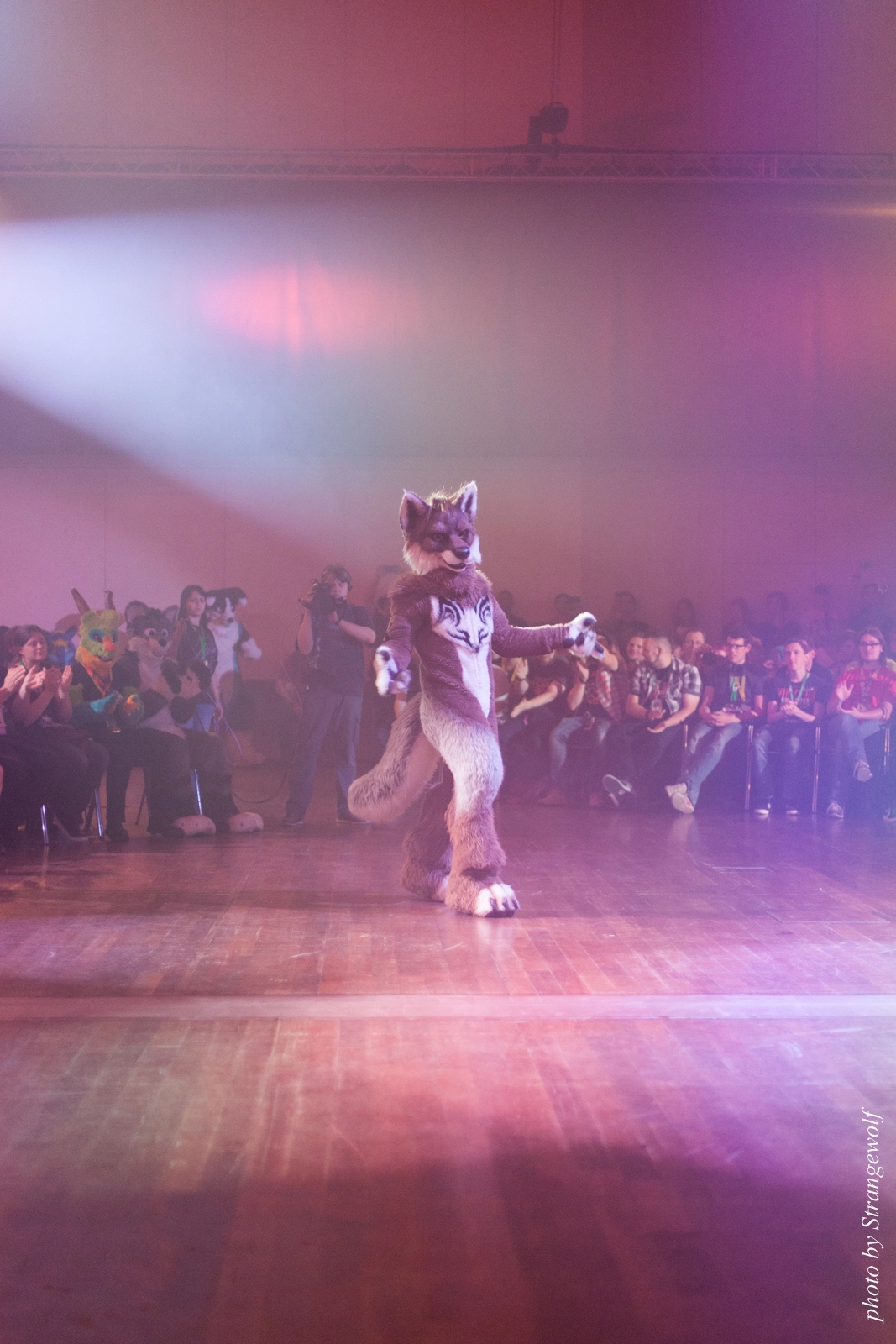 full image IMG_2772-lr16t.jpg