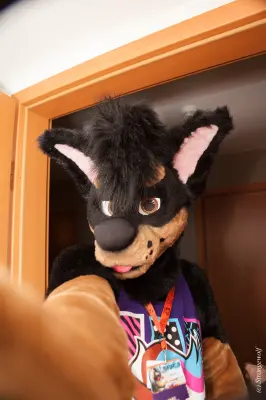 IMG_4778-lr19t.jpg of EF/EF24/