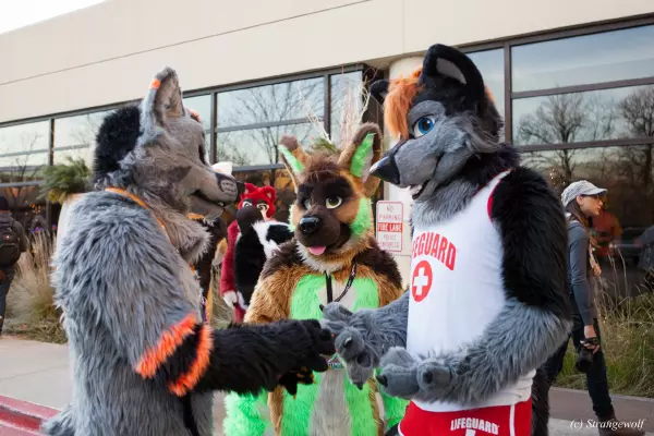 IMG_8197-lr19t.jpg of MFF/MFF2017/