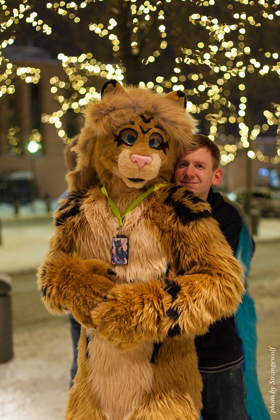 full image IMG_1487-lr16t.jpg