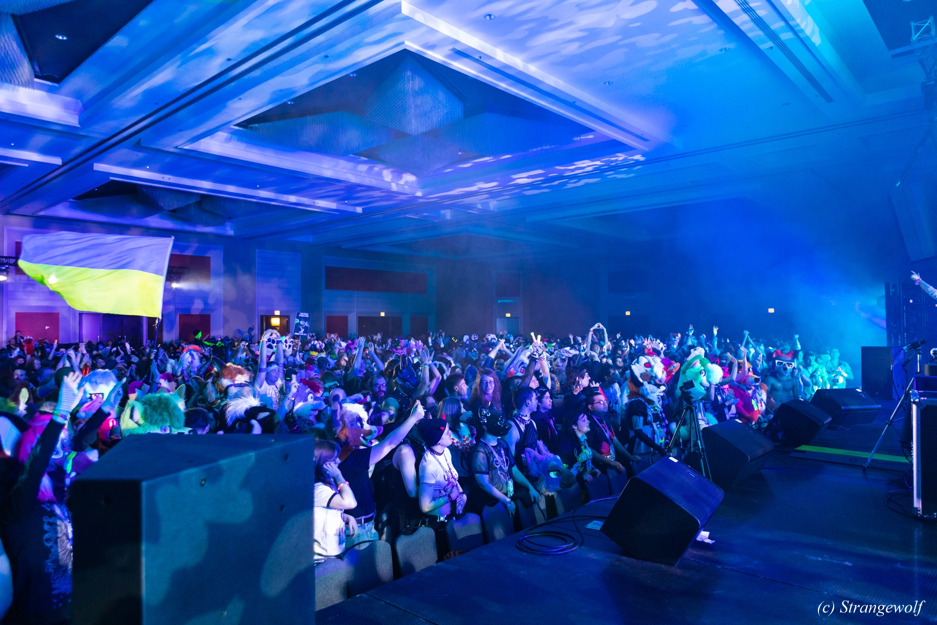 full image 1R3A5027-lr19t.jpg