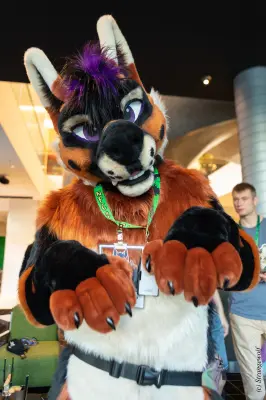 1R3A9370-lr19t.jpg of EF/EF29/