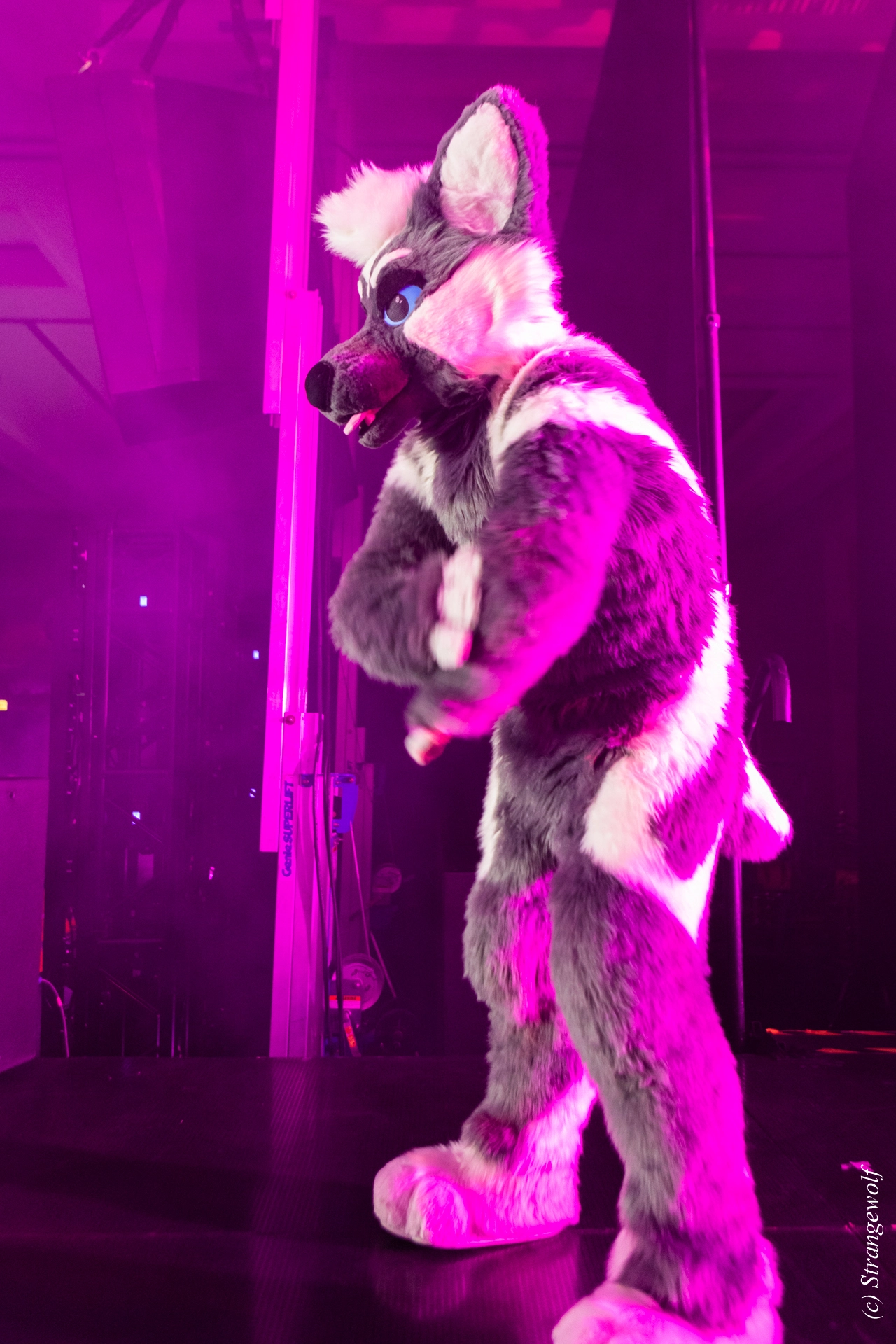 full image 1R3A4874-lr19t.jpg