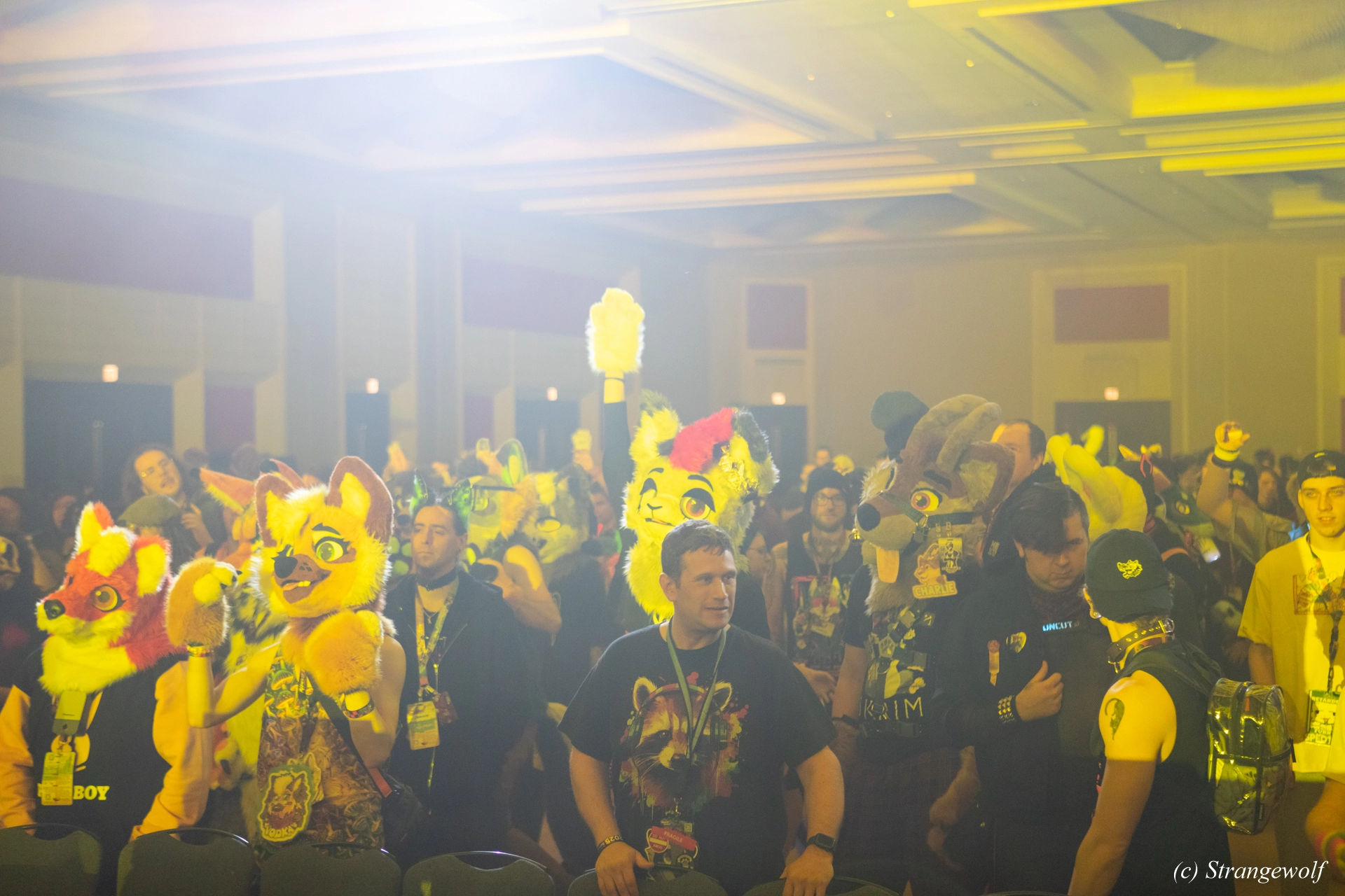 full image 1R3A0364-lr19t.jpg