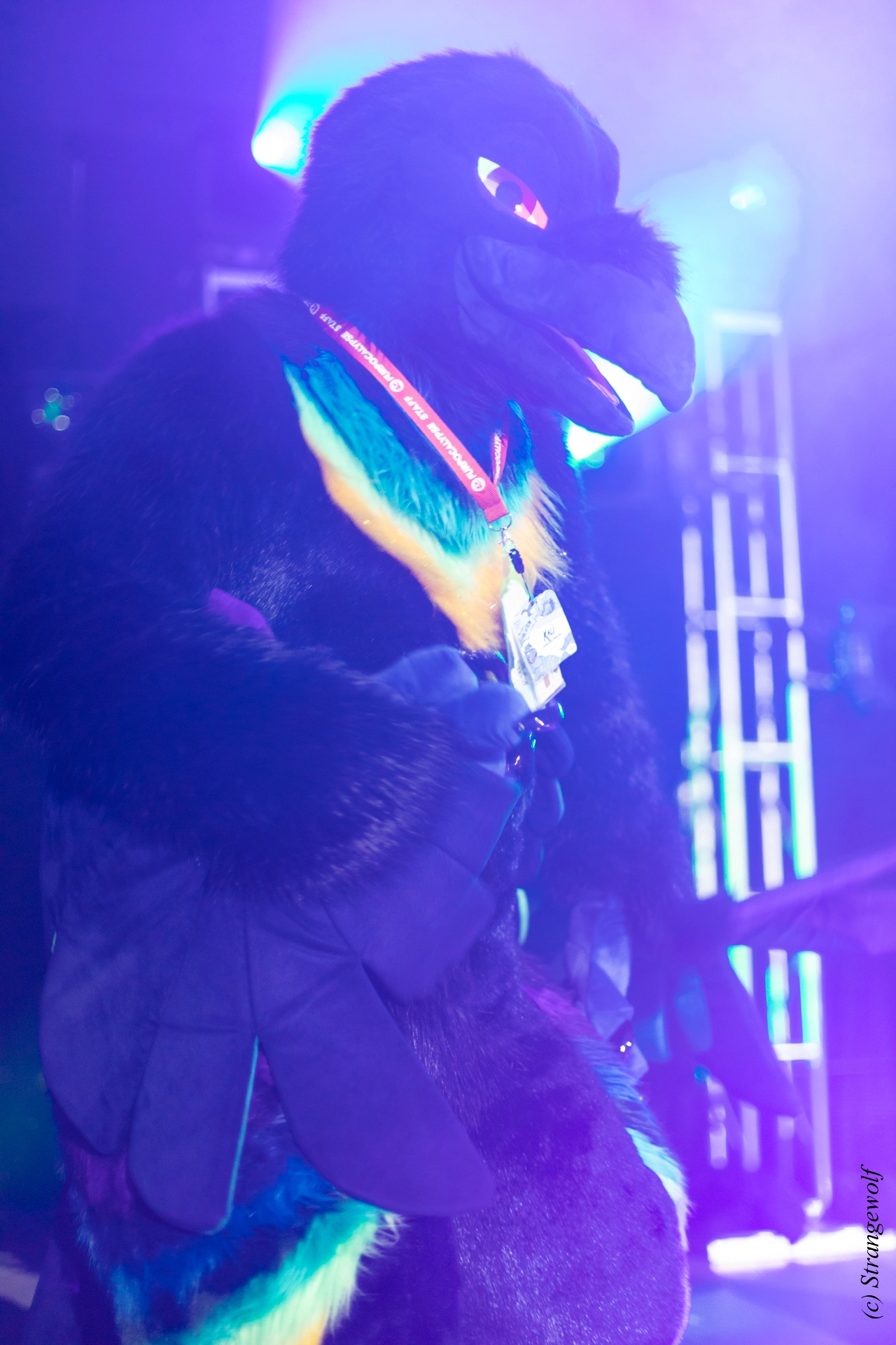 full image 1R3A0586-lr19t.jpg