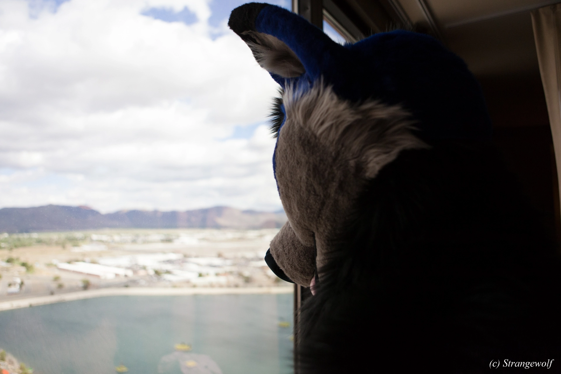 full image IMG_2683-lr19t.jpg