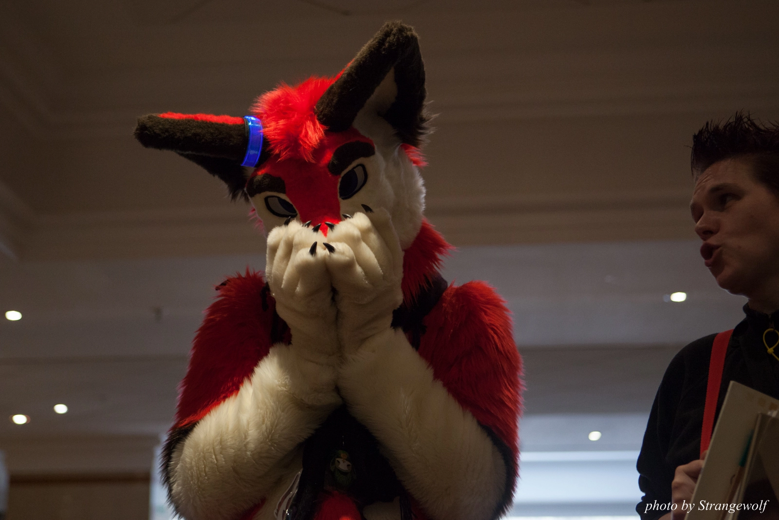 full image IMG_7418-lr16t.jpg