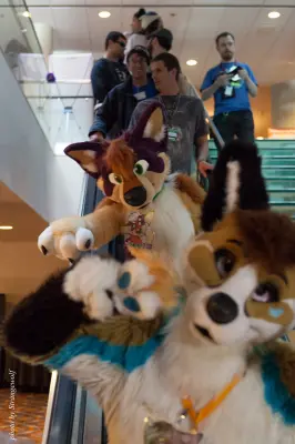 IMG_4133-lr16t.jpg of MFF/MFF2015/