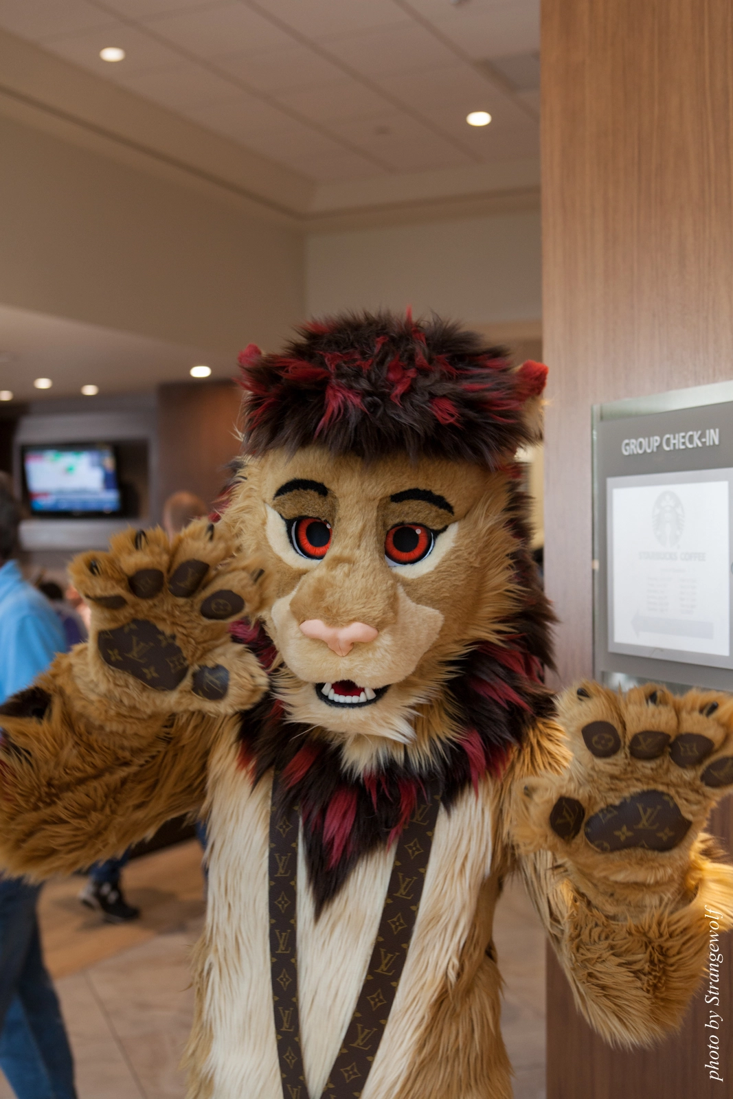 full image IMG_3943-lr16t.jpg