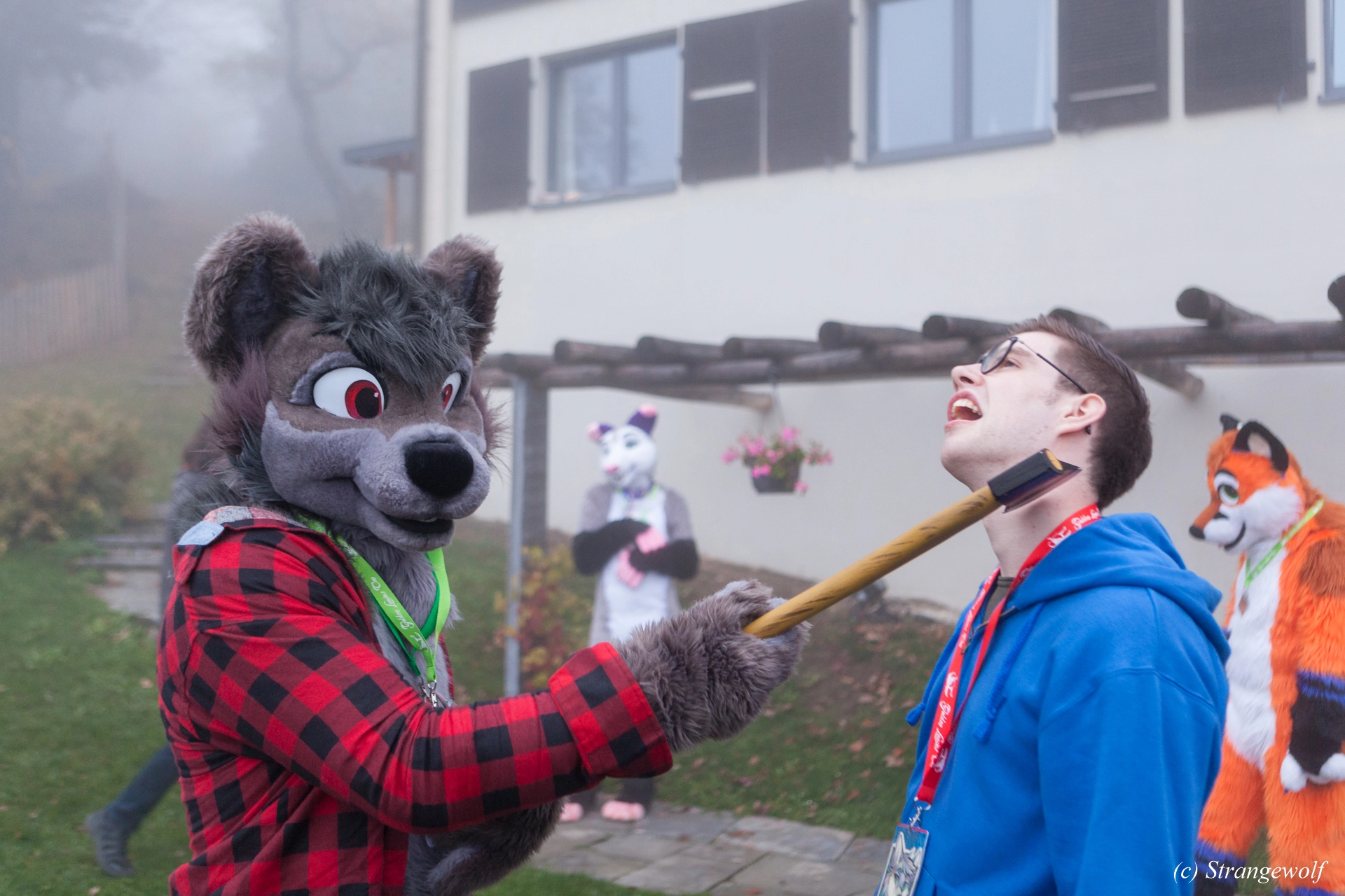 full image IMG_7054-lr19t.jpg