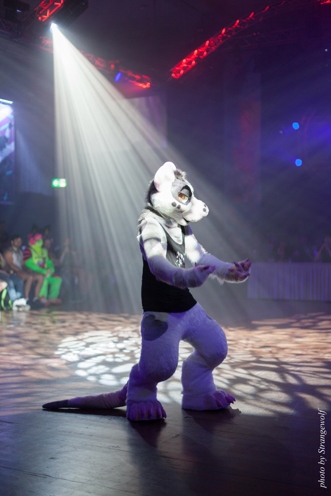 full image IMG_9082-lr16t.jpg