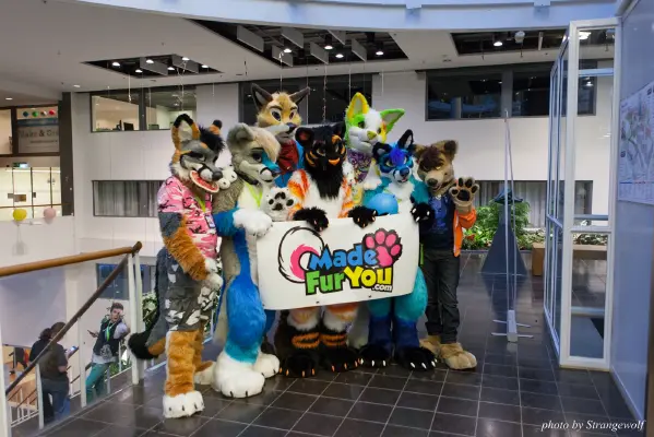 IMG_1734-lr16t.jpg of NFC/NFC2017/