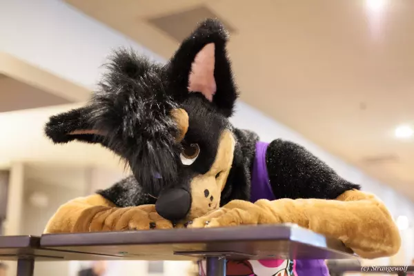 IMG_2542-lr19t.jpg of BLFC/2018/