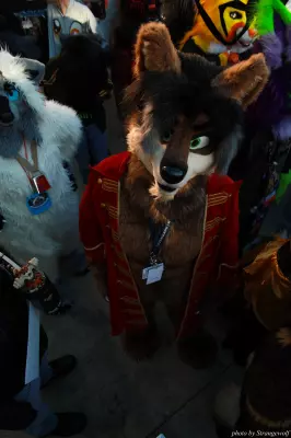 IMG_0718-lr.jpg of MFF/MFF2013/