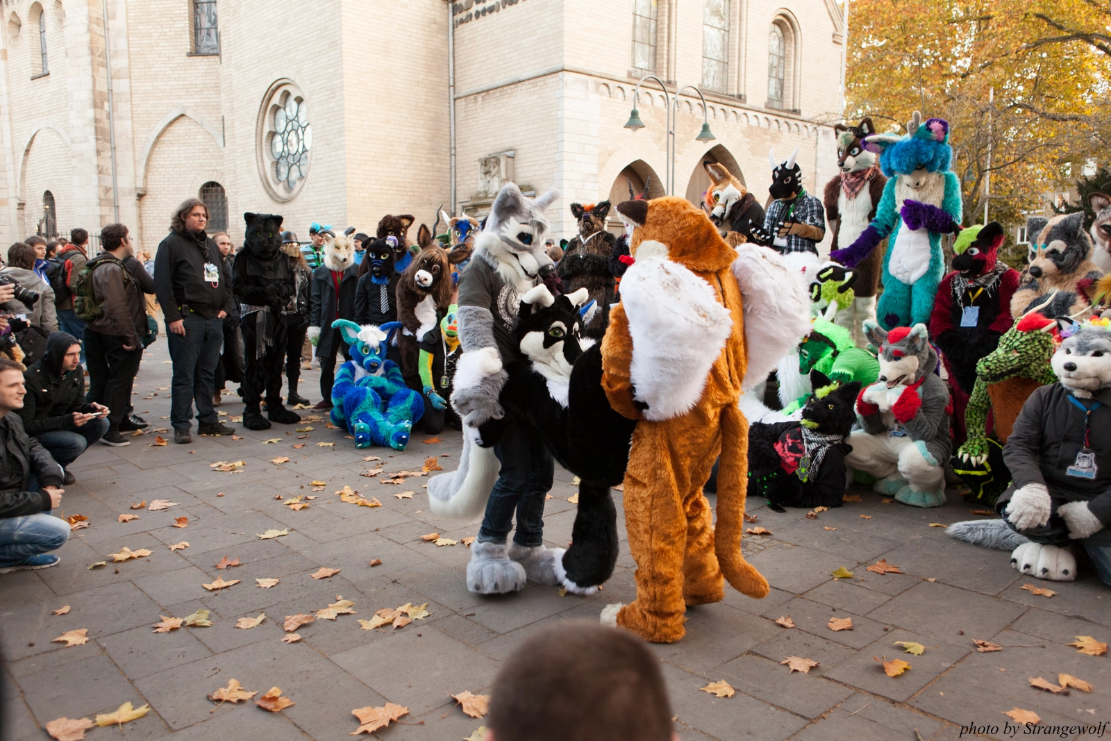 full image IMG_5308-lr16t.jpg