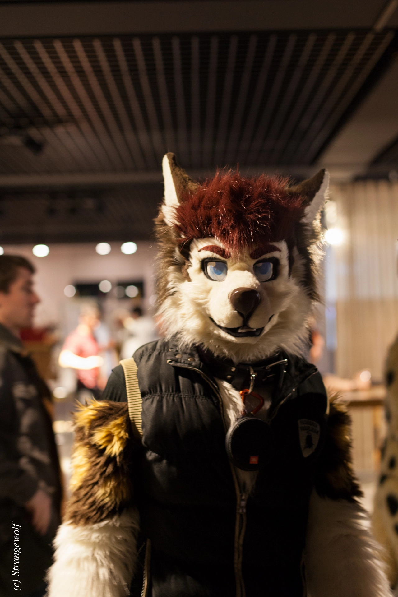 full image IMG_9362-lr19t.jpg