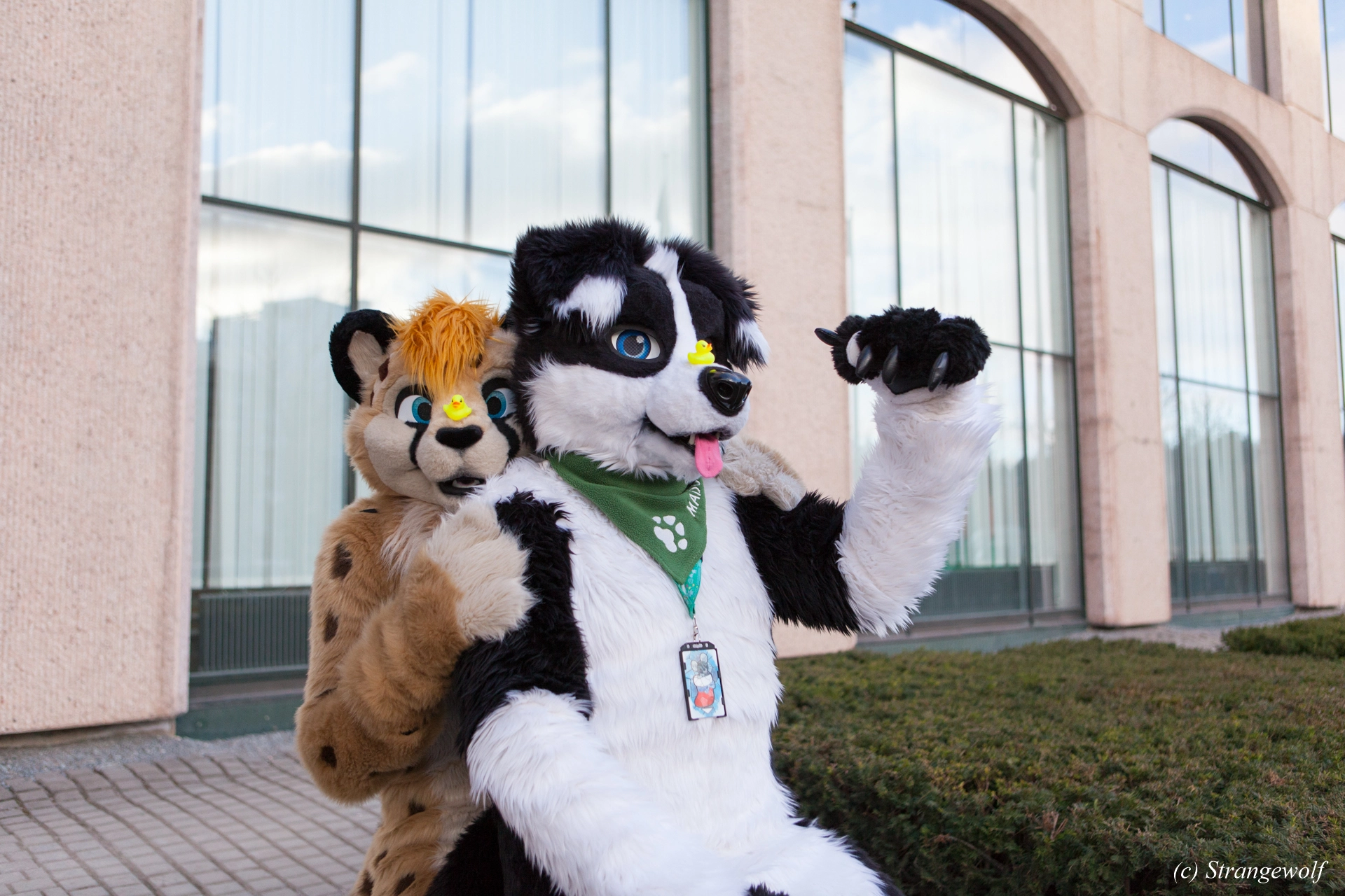 full image IMG_8805-lr19t.jpg