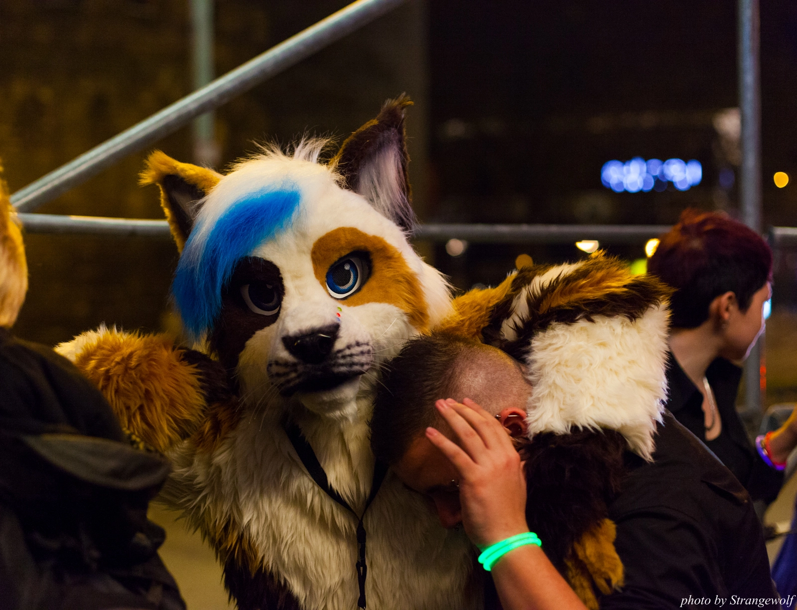 full image IMG_5456-lr16t.jpg