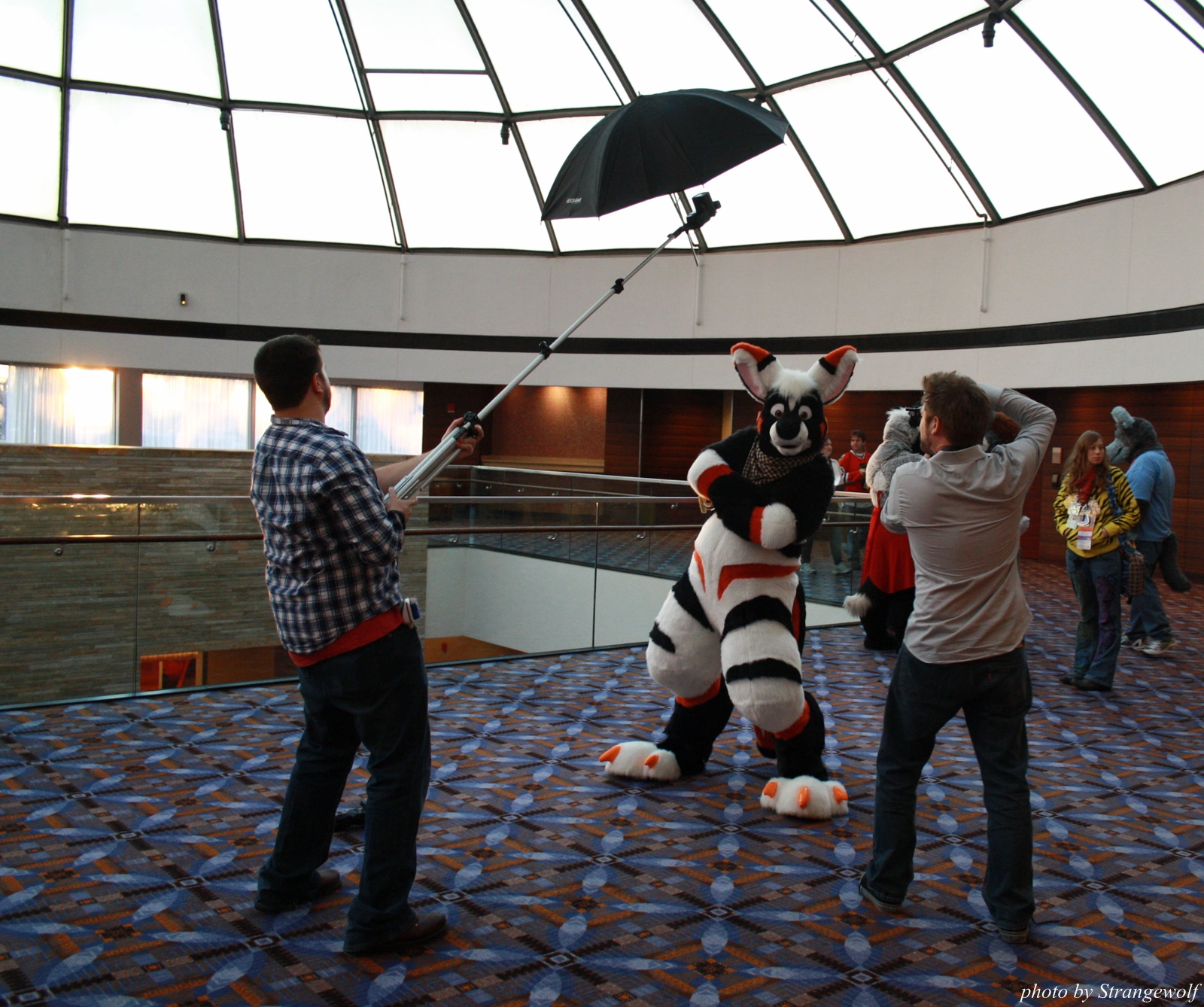 full image IMG_1058-lr.jpg