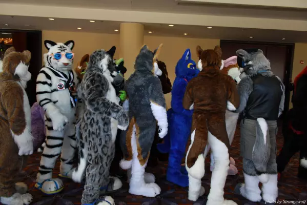 IMG_0544-lr.jpg of MFF/MFF2013/